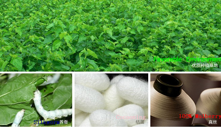 1605-201911082123274009